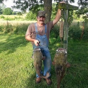 Meet your Posher, Dave